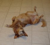 370115-SID.jpg