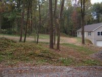 506069-swale1.jpg