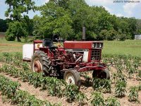 549201-IH 274 Spray Pepper 1.jpg