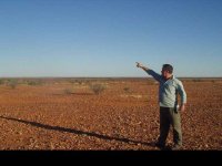 461721-outback.jpg