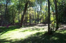 506544-yardview.JPG