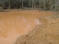 549885-Pond 020.jpg