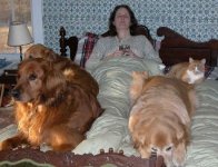 417990-Sick Wife lores.jpg