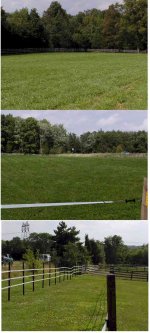 463233-fence.jpg