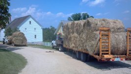 Hay.jpg