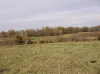 fall farm 001.jpg