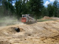 8-4-12 Bobcat on Dam.jpg