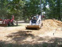 8-4-12 Brandi, Bobcat and Big RED Beast.jpg