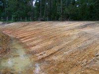 8-5-12 Pond driveway side slope.jpg