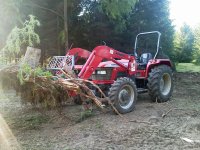 Driveway Clearing 2012-07-10 d.jpg