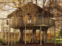 Tree-House-8.jpg