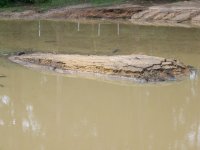 7-11-12 Island shows crumbling dirt.jpg 7-11-12 Island shows crumbling dirt.jpg