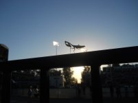 sac state vs und 001.jpg