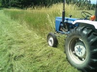 haying11.JPG