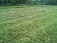 haying12.JPG