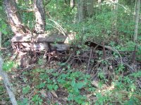Old planter 009.JPG