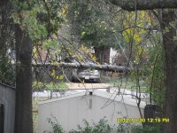 8x6SAM_0743.jpg