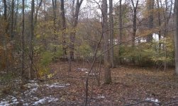 wetlands crap 002.jpg