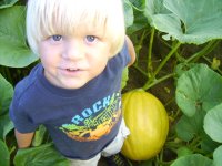 pumpkins 004.jpg