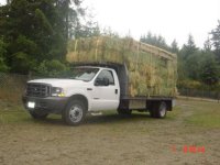 Hay.jpg