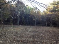 field 4.jpg