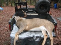 IMG_0434.jpg IMG_0434.jpg