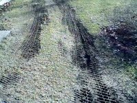Turf Tire Spring Thaw.jpg