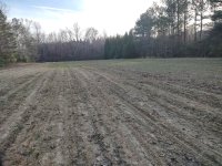 foodplot3.jpg