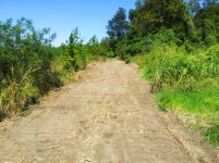 New Road.jpg