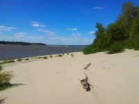 Star Landing beach.jpg