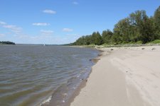 IMG_6871.jpg