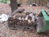 IMG_3525.JPG