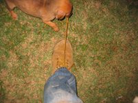 IMG_1507.jpg