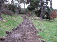 Tues 24th July walk 025.jpg