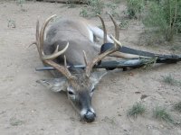 2012 opener buck 1.jpg