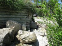 1_20100514_origWall1.JPG