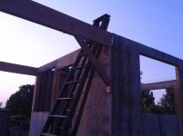 20120816_073146.jpg