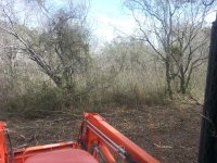 20121208_110521.jpg 20121208_110521.jpg