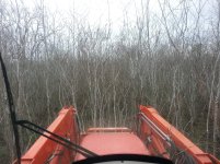 20121209_121413.jpg 20121209_121413.jpg
