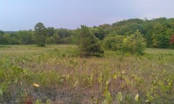 IMAG0102.jpg