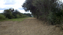 ForumRunner_20120916_090855.png