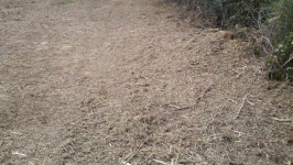 ForumRunner_20120916_143425.png