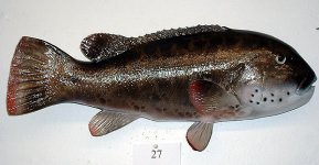 tautog-27-270.jpg