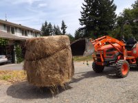 LouieRoundBales 029.jpg