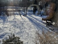 IMG_4375[1].JPG