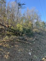 IMG_1628.jpeg