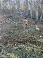 IMG_1623.jpeg