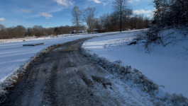 IMG_7232 (002).PNG
