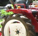 IMG_0384 - Copy.JPG