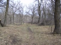 HPIM0193.jpg